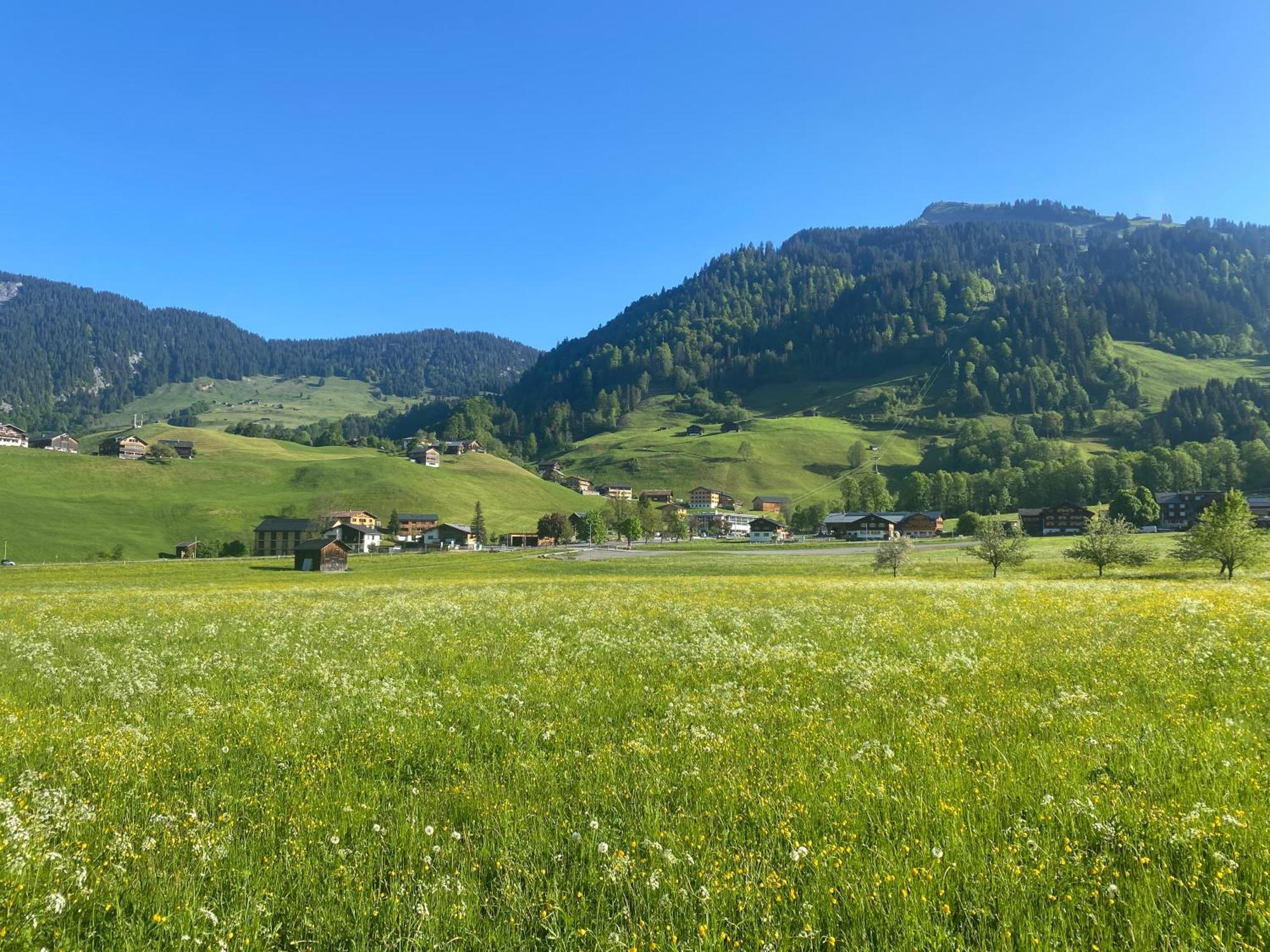 Haus Diedams Schoppernau Eksteriør billede